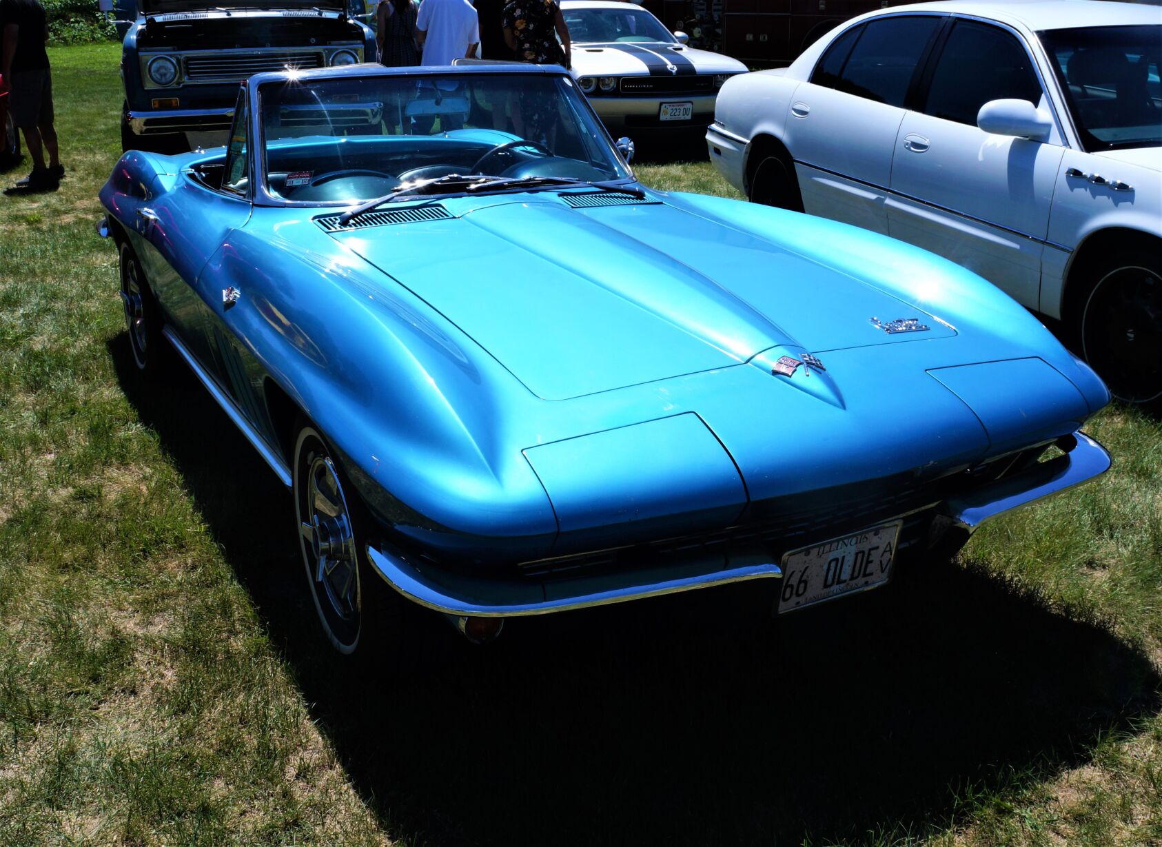 DSC04825 (2).JPG